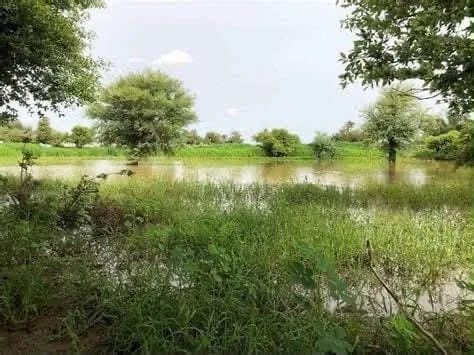 المطار