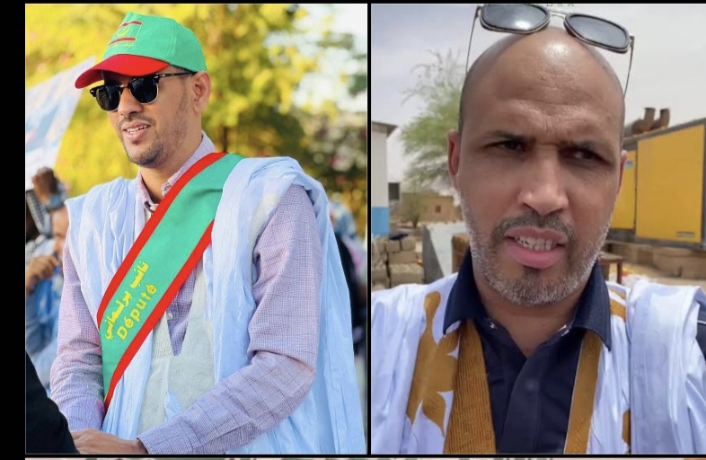النائب