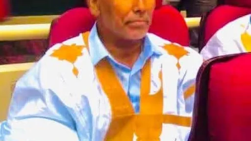 الشيخ سيد محمد الطالب ألمين 