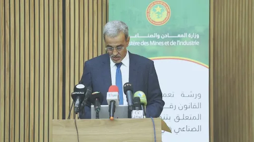 ادي ولد الزين