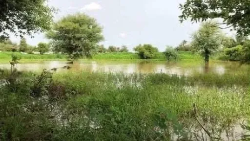المطار
