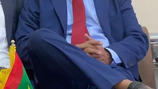 أحمد شوقي أحمد الهادي 