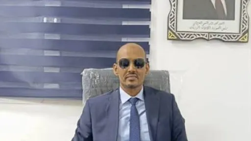 سيداتي