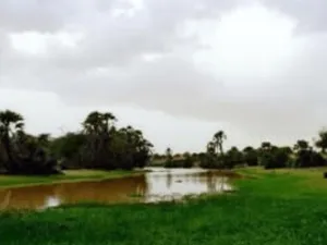 الخريف
