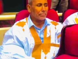 الشيخ سيد محمد الطالب ألمين 