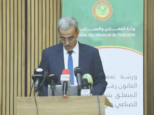 ادي ولد الزين