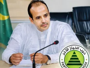 محمد الأمين ولد الوافي  الحقيقة