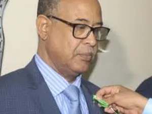 الحقيقة محمد ولد أحمد بنان