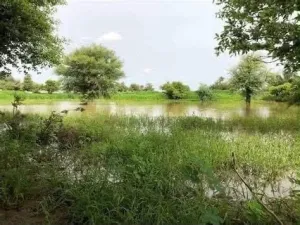 المطار