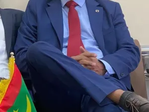 أحمد شوقي أحمد الهادي 