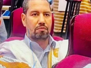 محمد الأمين ااطالب محمد 
