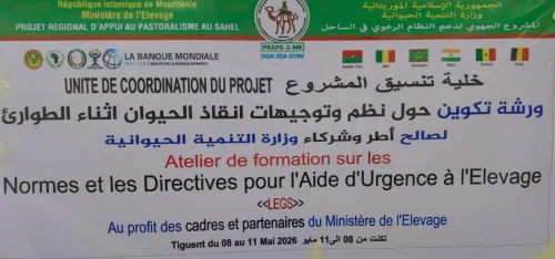 نتن